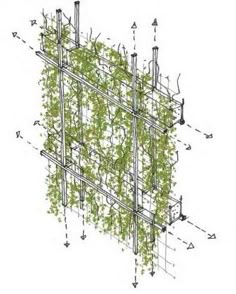 an image of a green plant growing out of the side of a metal frame structure