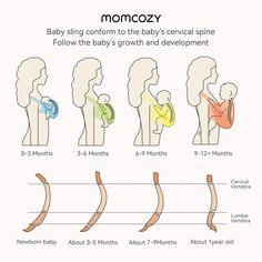 the stages of an infant's growth and development