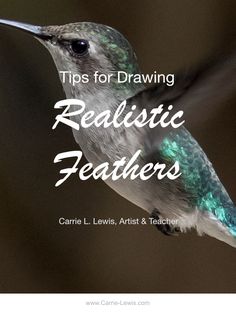 a hummingbird with the words tips for drawing realistic feathers on it's back