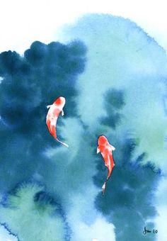 two red koi fish swimming in the water with blue sky and clouds behind them