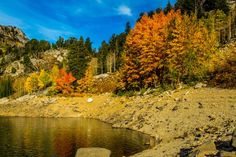 a lake surrounded by trees with orange and yellow leaves