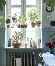 a room filled with lots of potted plants on top of a window sill