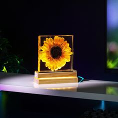 a yellow sunflower in a glass block on a white table with a black background