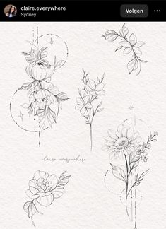 some flowers are drawn in pencil on paper