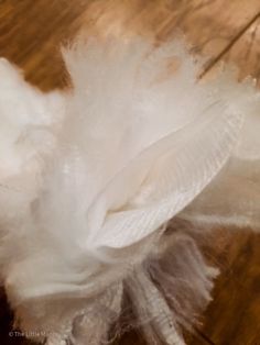 white feathers are on top of a wooden table