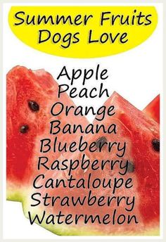 an advertisement for the summer fruits dog's love