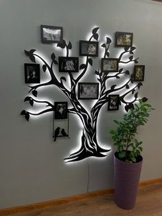 a tree with many pictures hanging on it and a potted plant in the foreground