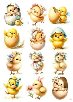 an image of easter chicks with eggs