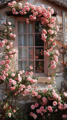 pink roses growing on the side of a stone building with a window and shutters