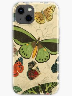 Moth Butterfly Vintage Botanical Illustration - Biology Wall of Butterflies - Cute Insect Scientific Illustration iPhone Case Vintage Botanical Illustration, Moth Butterfly, Butterfly Vintage, Botanical Illustration Vintage, Vintage Botanical, Textured Wallpaper