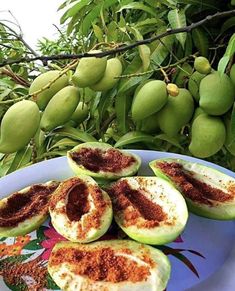 the fruit is cut in half and ready to be eaten on the plate by the tree