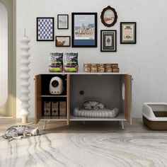 a cat is laying on the floor in front of a shelf with food and other items