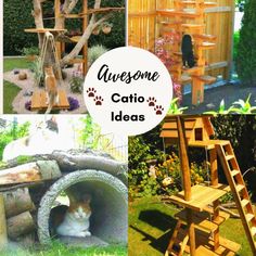 there are many different things that can be found in this garden and it's easy to make