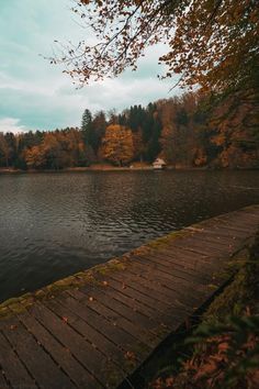 a wooden dock sitting on top of a lake next to a forest filled with trees