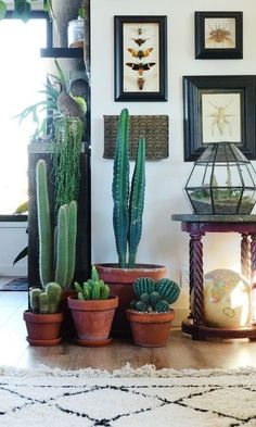 there are many potted plants on the floor in front of a wall with pictures