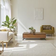 a living room with two couches, a coffee table and a plant in the corner