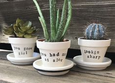 three small pots with plants in them sitting on a table