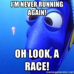 an image of a blue fish with caption that says, i'm never running again again