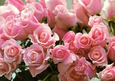 a vase filled with pink roses on top of a table