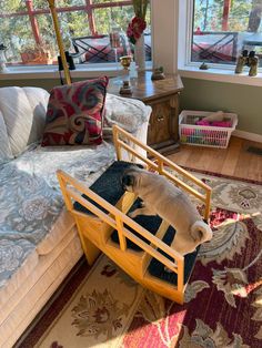 a dog laying on top of a couch in a living room next to a window