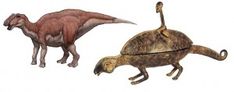 two different types of dinosaurs are depicted in this image