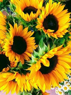 a vase filled with lots of yellow sunflowers