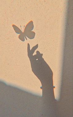 a shadow of a hand holding a butterfly