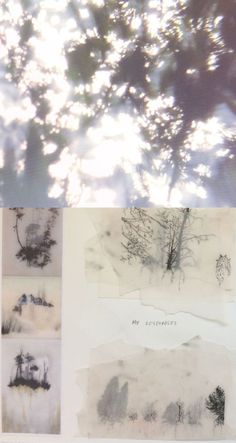 four different pictures with trees and sky in the background, one is drawn on paper