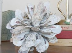 an arrangement of seashells on a table next to some books and a lamp