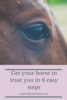 a horse's eye with the words get your horse to trust you in 6 easy steps