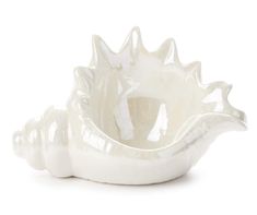 a white ceramic bowl with three shells on the bottom and one shell in the middle