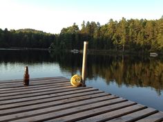 an empty beer bottle sitting on top of a wooden dock