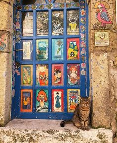 a cat sitting in front of a colorful door