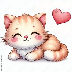 a cute little cat laying down next to a heart