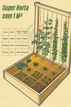 an image of a garden box with plants in it and instructions on how to grow them