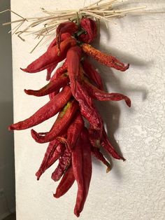 some red peppers hanging from a white wall