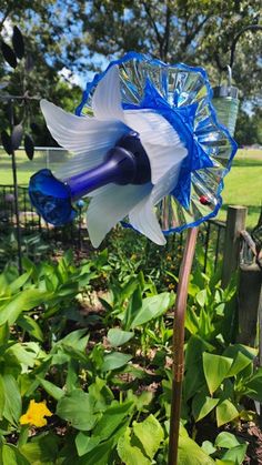 a blue and white flower in the middle of a garden next to a wooden fence