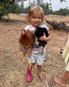 Raising Backyard Chickens, Dream Life House, Backyard Chickens, Tiny Humans, Girl Mom