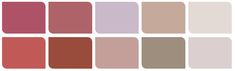 different shades of pink and brown are shown in the same color scheme, each with an individual