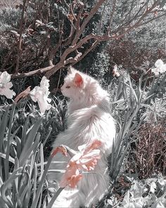 a white cat sitting in the middle of some flowers