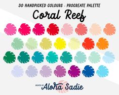 the color scheme for coral reef