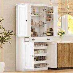 an open cabinet in the corner of a room next to a potted plant and window