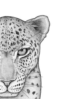 a black and white drawing of a leopard's face