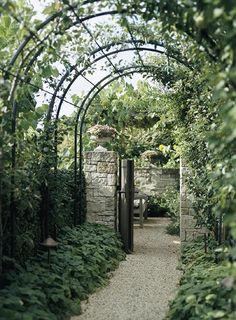 an archway in the middle of a garden with lots of greenery on either side