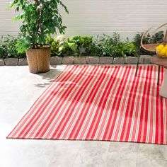 a red and white striped rug sitting on top of a floor next to a potted plant