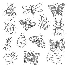 bugs and insects coloring pages for kids to print on the wall or use as an applique