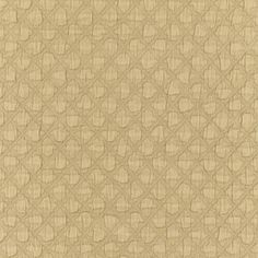 a beige background with small circles and lines