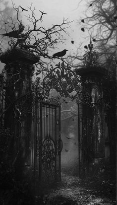 black and white photograph of two gates with birds on them