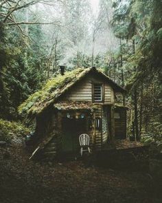 an old cabin in the woods with moss growing on it's roof and door