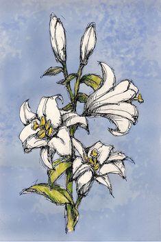 a drawing of white flowers against a blue sky